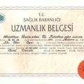 Resmi büyüt: certificate 3
