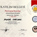 Resmi büyüt: certificate 2