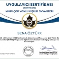 Resmi büyüt: certificate 2