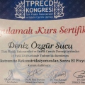 Resmi büyüt: certificate 4
