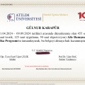Resmi büyüt: certificate 3