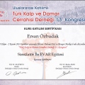 Resmi büyüt: certificate 11