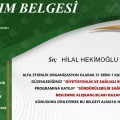 Resmi büyüt: certificate 20