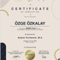 Resmi büyüt: certificate 2