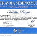 Resmi büyüt: certificate 6