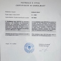 Resmi büyüt: certificate 9