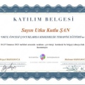 Resmi büyüt: certificate 5