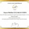 Resmi büyüt: certificate 19