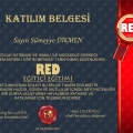 Resmi büyüt: certificate 9