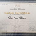 Resmi büyüt: certificate 8