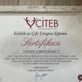 Resmi büyüt: certificate 15