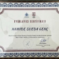 Resmi büyüt: certificate 13