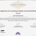 Resmi büyüt: certificate 9