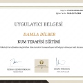 Resmi büyüt: certificate 65