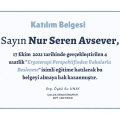 Resmi büyüt: certificate 2