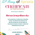 Resmi büyüt: certificate 1