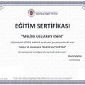 Resmi büyüt: certificate 11