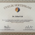 Resmi büyüt: certificate 1
