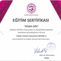 Resmi büyüt: certificate 1