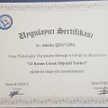 Resmi büyüt: certificate 2