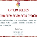 Resmi büyüt: certificate 3