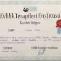 Resmi büyüt: certificate 6
