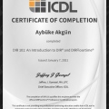 Resmi büyüt: certificate 1