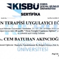 Resmi büyüt: certificate 12