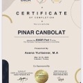 Resmi büyüt: certificate 1