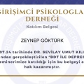 Resmi büyüt: certificate 24