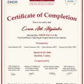 Resmi büyüt: certificate 15