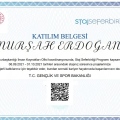 Resmi büyüt: certificate 2