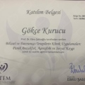 Resmi büyüt: certificate 15