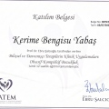Resmi büyüt: certificate 5
