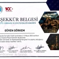 Resmi büyüt: certificate 9