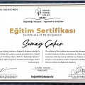 Resmi büyüt: certificate 5