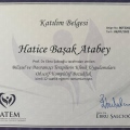 Resmi büyüt: certificate 6