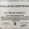 Resmi büyüt: certificate 25