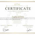 Resmi büyüt: certificate 5