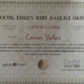 Resmi büyüt: certificate 2