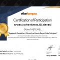 Resmi büyüt: certificate 10
