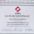 Resmi büyüt: certificate 2
