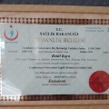 Resmi büyüt: certificate 1