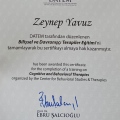 Resmi büyüt: certificate 12