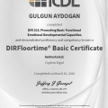 Resmi büyüt: certificate 6