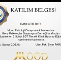 Resmi büyüt: certificate 21