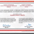 Resmi büyüt: certificate 2