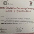 Resmi büyüt: certificate 30