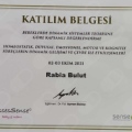 Resmi büyüt: certificate 3