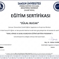 Resmi büyüt: certificate 6